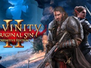 Divinity: Original Sin 2