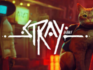 Stray